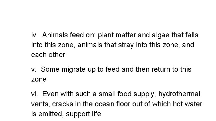 iv. Animals feed on: plant matter and algae that falls into this zone, animals