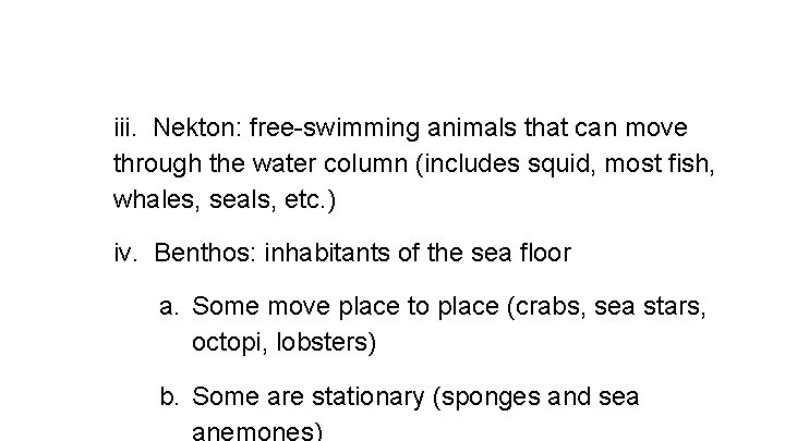 iii. Nekton: free-swimming animals that can move through the water column (includes squid, most