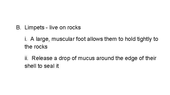 B. Limpets - live on rocks i. A large, muscular foot allows them to