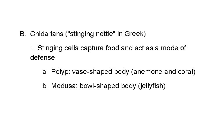 B. Cnidarians (“stinging nettle” in Greek) i. Stinging cells capture food and act as