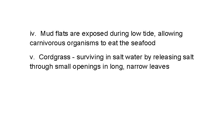iv. Mud flats are exposed during low tide, allowing carnivorous organisms to eat the