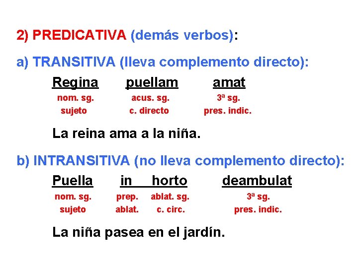 2) PREDICATIVA (demás verbos): a) TRANSITIVA (lleva complemento directo): Regina puellam amat nom. sg.