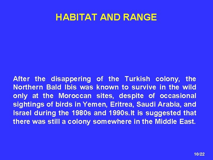 HABITAT AND RANGE After the disappering of the Turkish colony, the Northern Bald Ibis