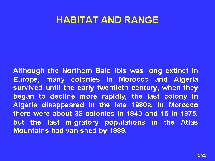 HABITAT AND RANGE Although the Northern Bald Ibis was long extinct in Europe, many