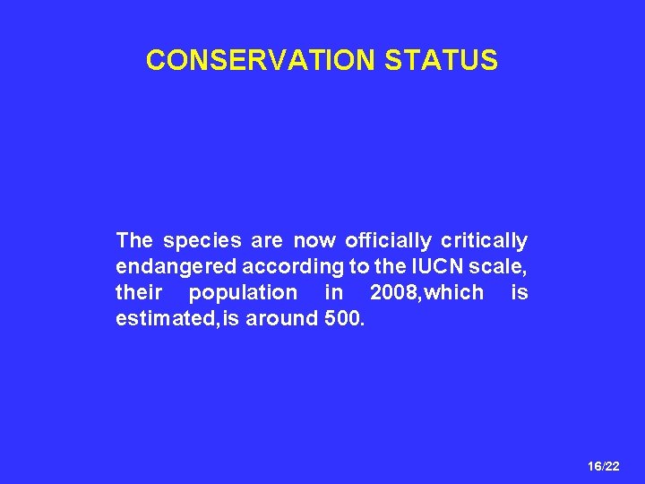 CONSERVATION STATUS The species are now officially critically endangered according to the IUCN scale,