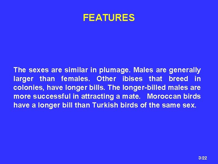 FEATURES The sexes are similar in plumage. Males are generally larger than females. Other