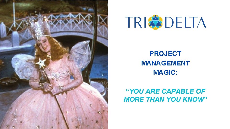 PROJECT MANAGEMENT MAGIC: “YOU ARE CAPABLE OF MORE THAN YOU KNOW” 