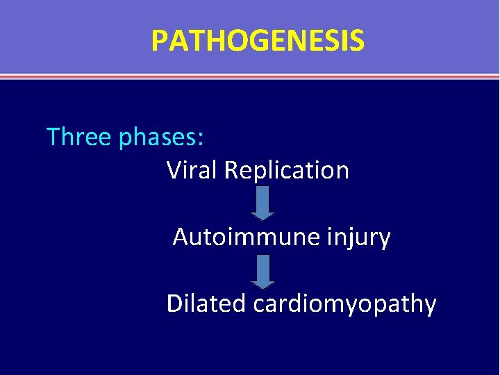 PATHOGENESIS Three phases: Viral Replication Autoimmune injury Dilated cardiomyopathy 