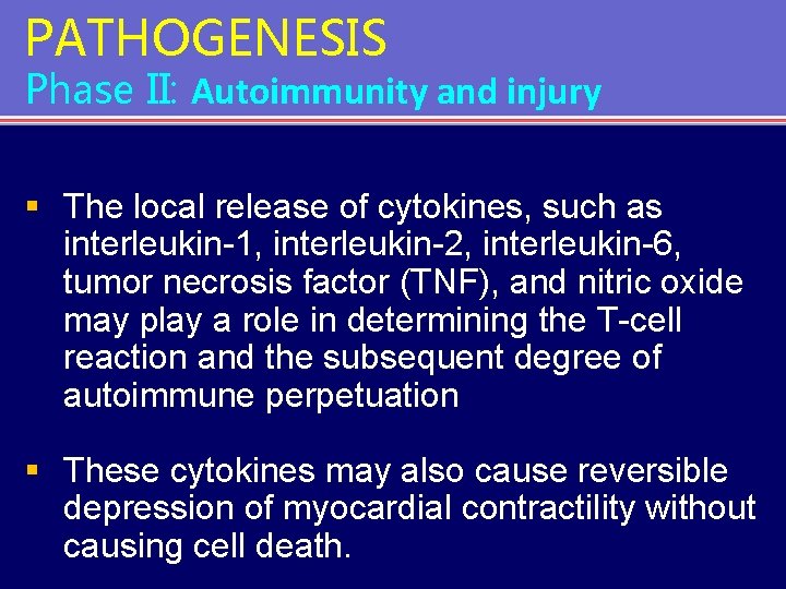 PATHOGENESIS Phase II: Autoimmunity and injury § The local release of cytokines, such as