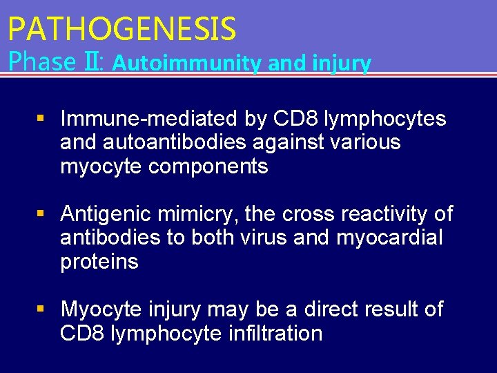 PATHOGENESIS Phase II: Autoimmunity and injury § Immune-mediated by CD 8 lymphocytes and autoantibodies