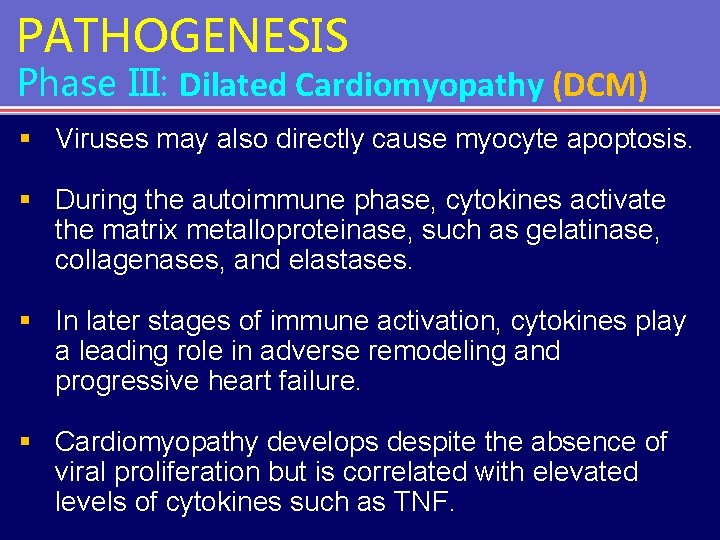 PATHOGENESIS Phase III: Dilated Cardiomyopathy (DCM) § Viruses may also directly cause myocyte apoptosis.