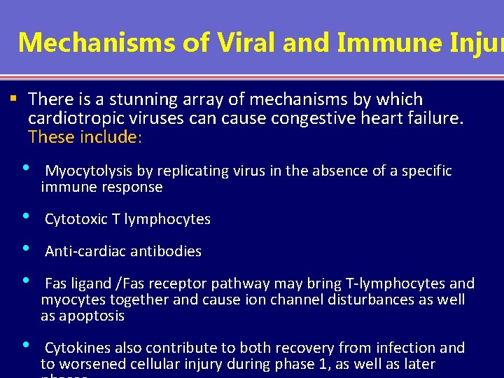 Mechanisms of Viral and Immune Injur § There is a stunning array of mechanisms