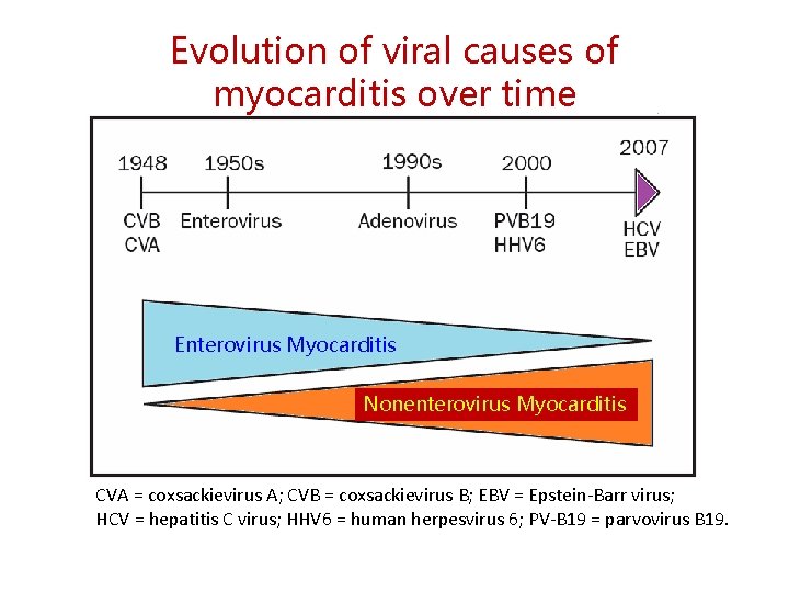 Evolution of viral causes of myocarditis over time Enterovirus Myocarditis Nonenterovirus Myocarditis CVA =