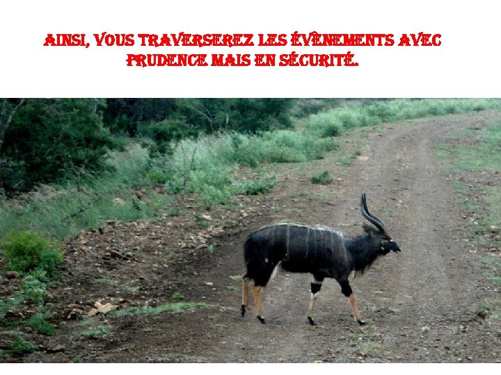 ainsi, vous traverserez les évènements avec prudence mais en sécurité. 