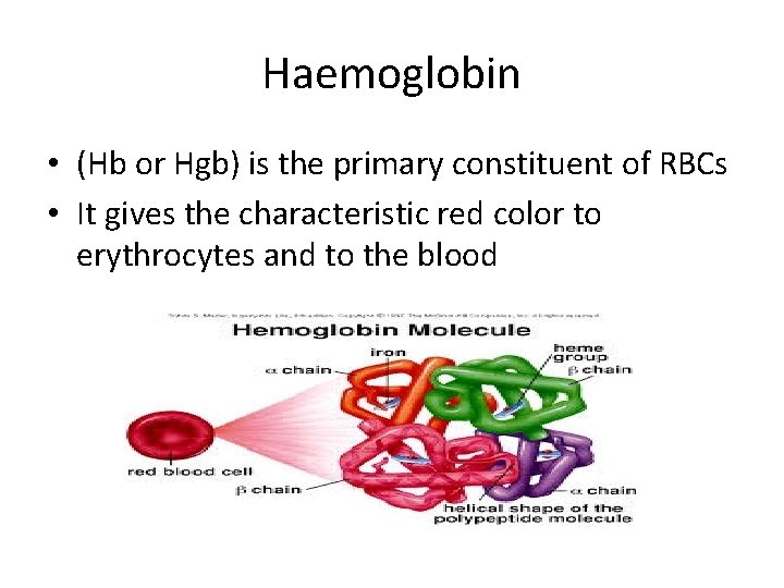Haemoglobin • (Hb or Hgb) is the primary constituent of RBCs • It gives