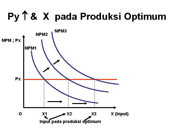 Py & X pada Produksi Optimum NPM 2 NPM 3 NPM ; Px NPM