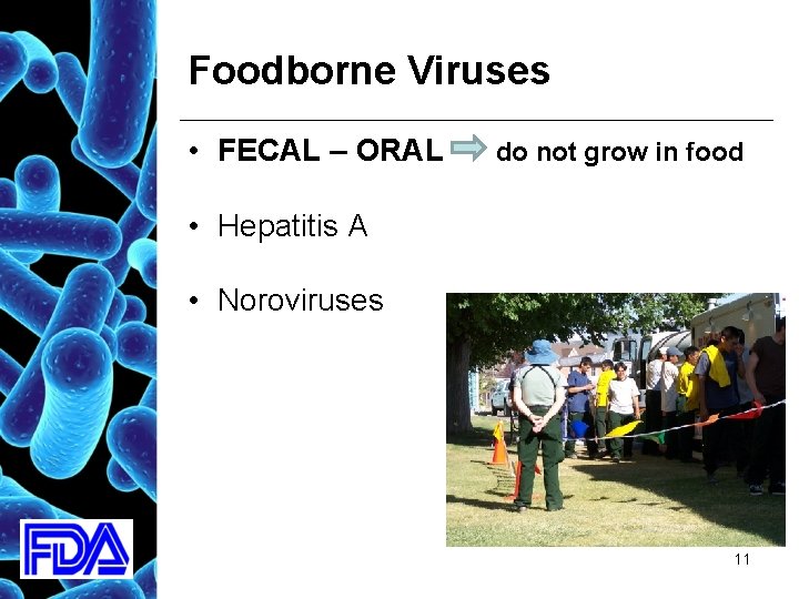 Foodborne Viruses • FECAL – ORAL do not grow in food • Hepatitis A