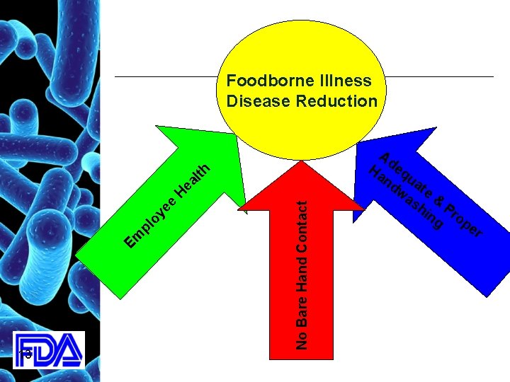 13 No Bare Hand Contact Em pl oy ee H ea lth Foodborne Illness