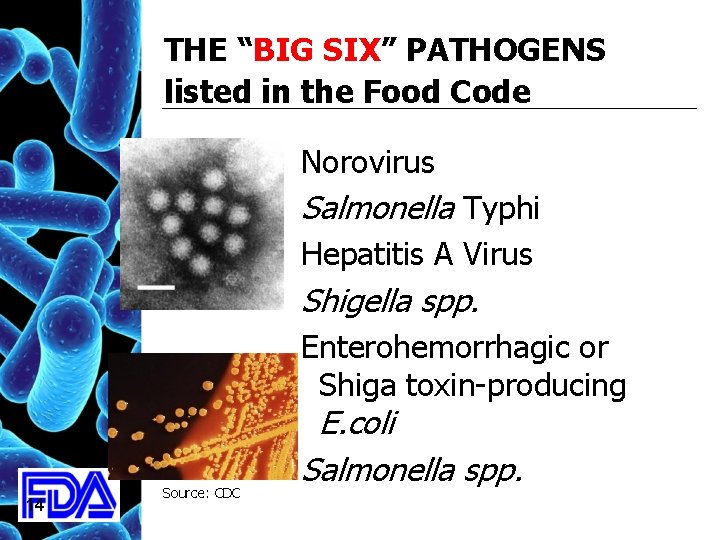 THE “BIG SIX” PATHOGENS listed in the Food Code Norovirus Salmonella Typhi Hepatitis A