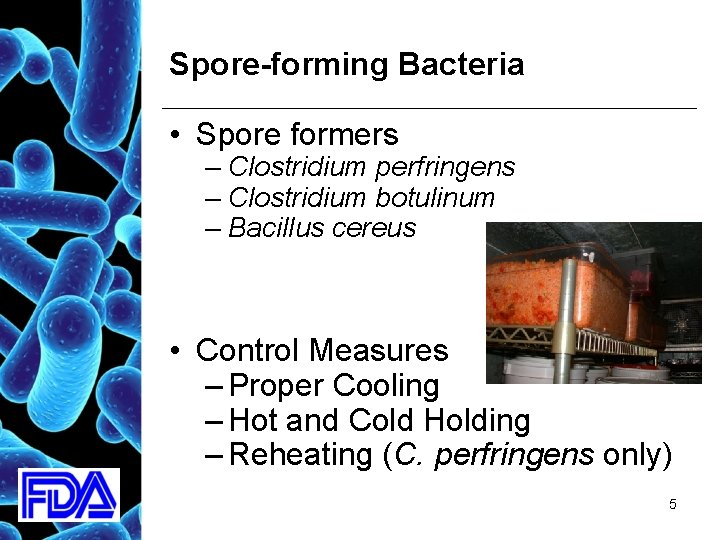 Spore-forming Bacteria • Spore formers – Clostridium perfringens – Clostridium botulinum – Bacillus cereus