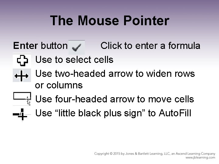 The Mouse Pointer Enter button Click to enter a formula Use to select cells
