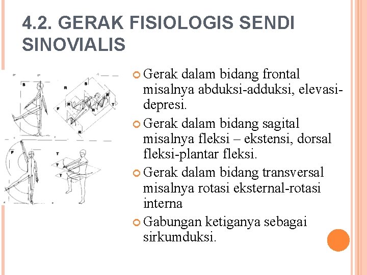 4. 2. GERAK FISIOLOGIS SENDI SINOVIALIS Gerak dalam bidang frontal misalnya abduksi-adduksi, elevasidepresi. Gerak