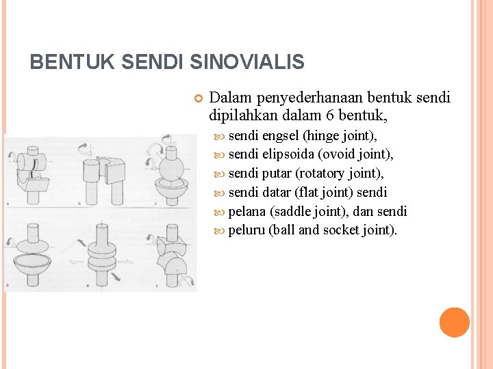 BENTUK SENDI SINOVIALIS Dalam penyederhanaan bentuk sendi dipilahkan dalam 6 bentuk, sendi engsel (hinge