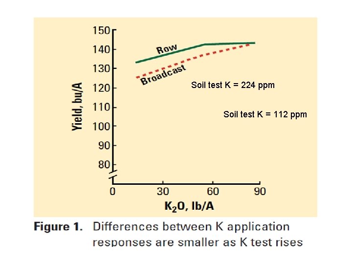 Soil test K = 224 ppm Soil test K = 112 ppm 