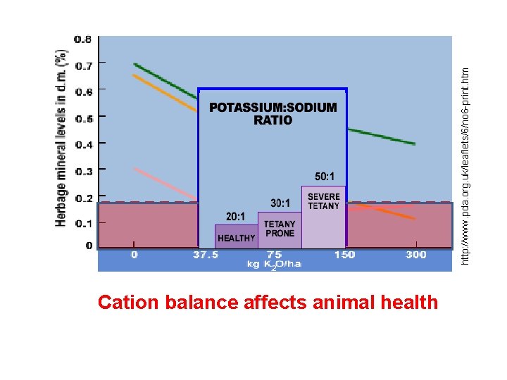 The relative concentration of potassium, calcium, magnesium, ammonium, and other positively charged ions in