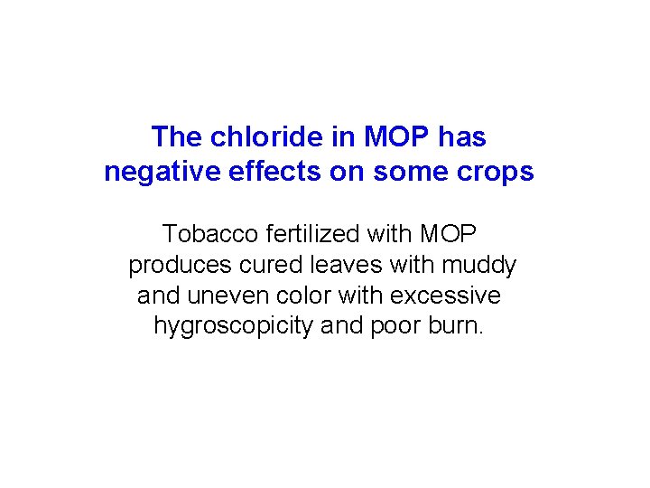 The chloride in MOP has negative effects on some crops Tobacco fertilized with MOP