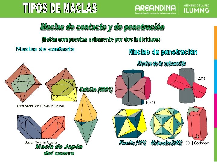 Maclas de contacto Macla de Japón del cuarzo 