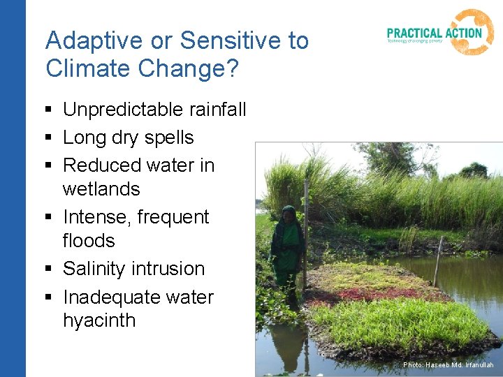Adaptive or Sensitive to Climate Change? § Unpredictable rainfall § Long dry spells §