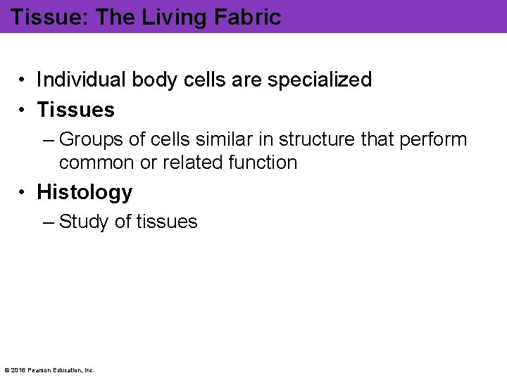 Tissue: The Living Fabric • Individual body cells are specialized • Tissues – Groups