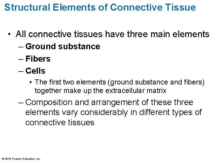 Structural Elements of Connective Tissue • All connective tissues have three main elements –
