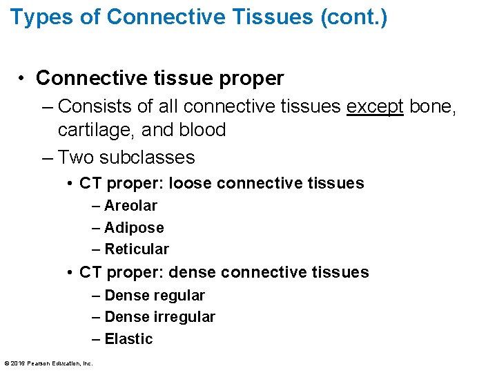 Types of Connective Tissues (cont. ) • Connective tissue proper – Consists of all