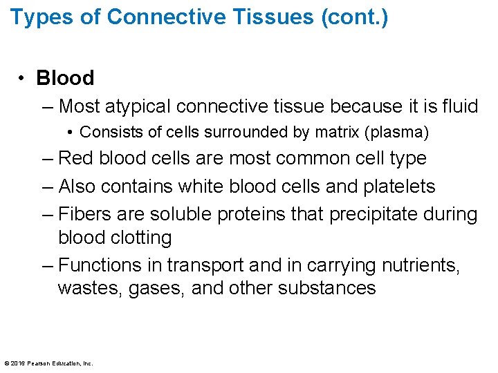 Types of Connective Tissues (cont. ) • Blood – Most atypical connective tissue because