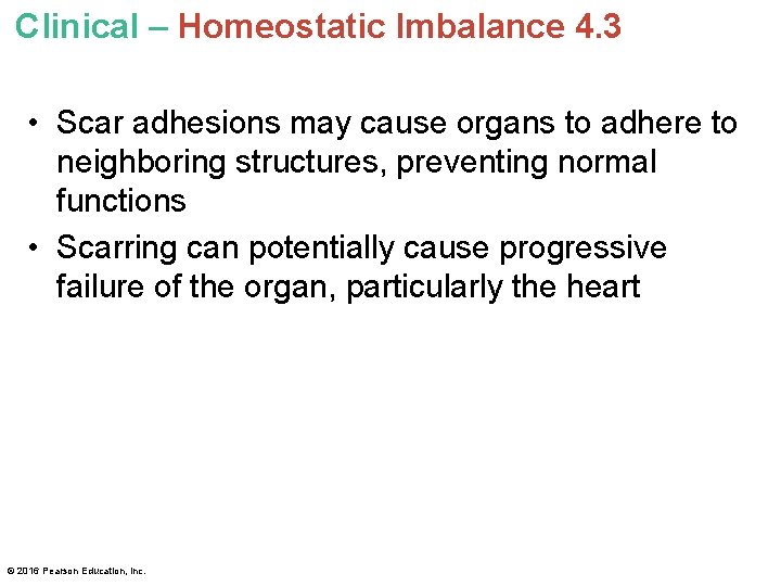 Clinical – Homeostatic Imbalance 4. 3 • Scar adhesions may cause organs to adhere