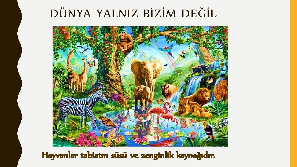 DÜNYA YALNIZ BİZİM DEĞİL Hayvanlar tabiatın süsü ve zenginlik kaynağıdır. 