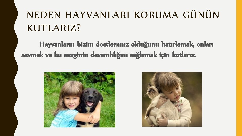 NEDEN HAYVANLARI KORUMA GÜNÜN KUTLARIZ ? Hayvanların bizim dostlarımız olduğunu hatırlamak, onları sevmek ve