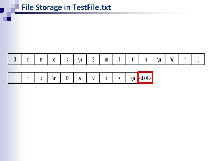 File Storage in Test. File. txt File Storage in Test. File. txt