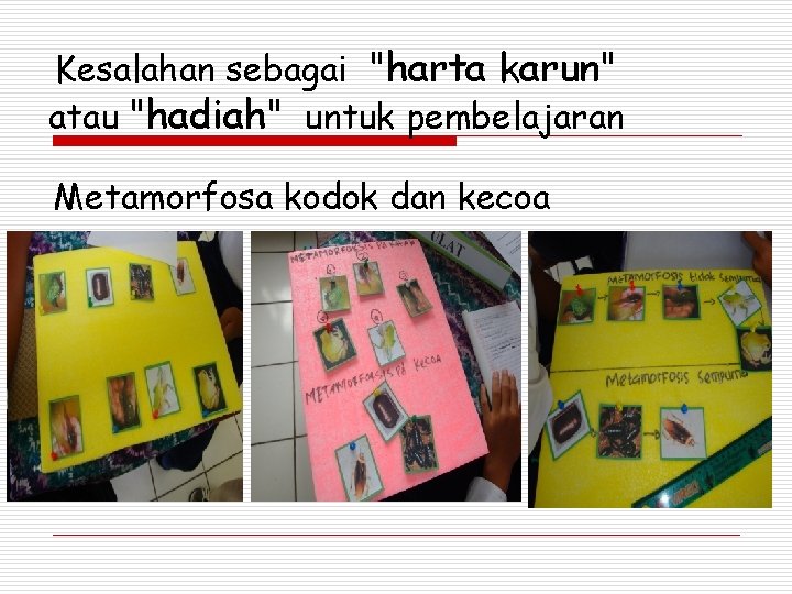 Kesalahan sebagai "harta karun" atau "hadiah" untuk pembelajaran Metamorfosa kodok dan kecoa 