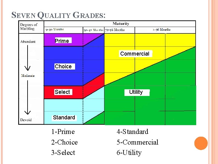 SEVEN QUALITY GRADES: Prime Commercial Choice Select Utility Standard 1 -Prime 2 -Choice 3