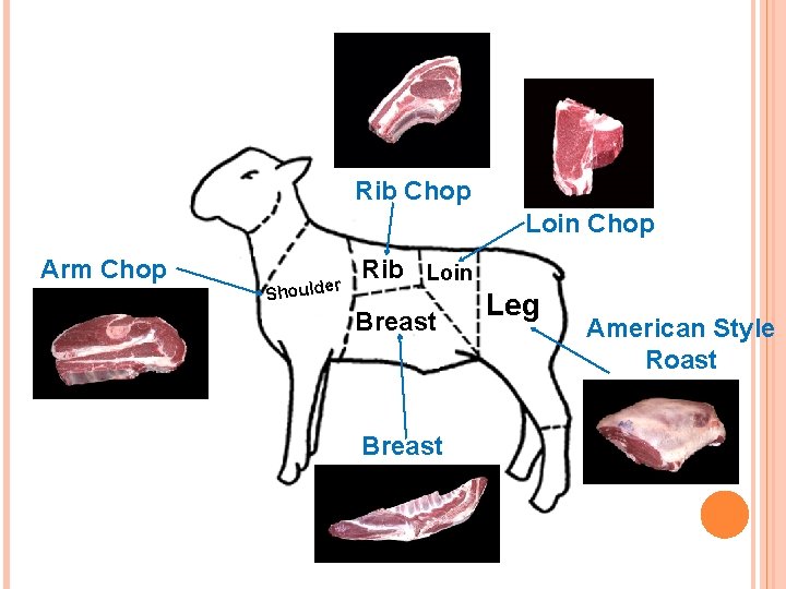 Rib Chop Loin Chop Arm Chop r Shoulde Rib Loin Breast Leg American Style