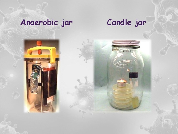 Anaerobic jar Candle jar 