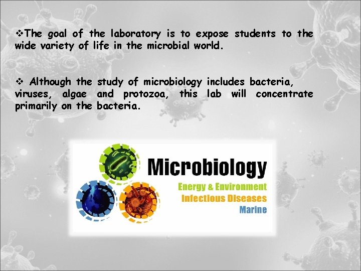 v. The goal of the laboratory is to expose students to the wide variety