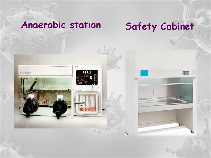 Anaerobic station Safety Cabinet 