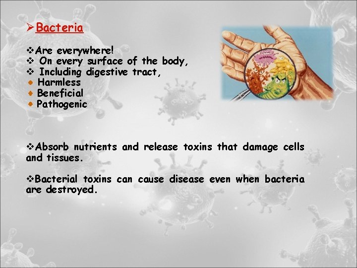 ØBacteria v. Are everywhere! v On every surface of the body, v Including digestive