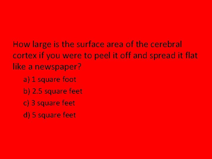 How large is the surface area of the cerebral cortex if you were to