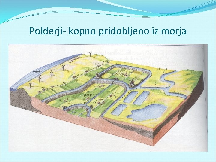 Polderji- kopno pridobljeno iz morja 