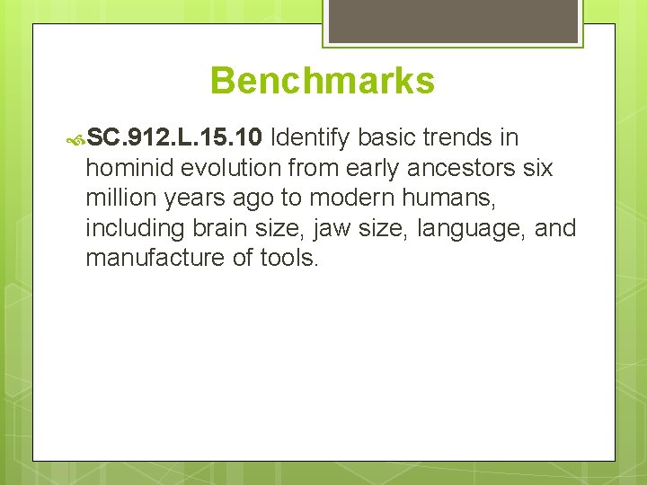 Benchmarks SC. 912. L. 15. 10 Identify basic trends in hominid evolution from early